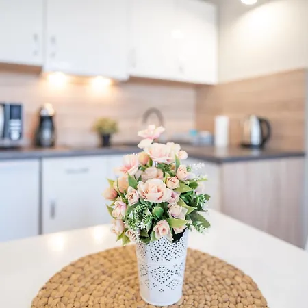 Planeta 200 * Mielno