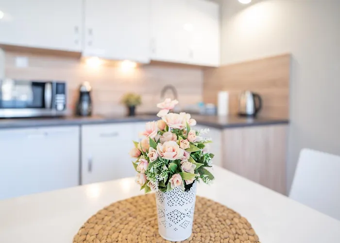 Planeta 200 * Mielno (Koszalin)